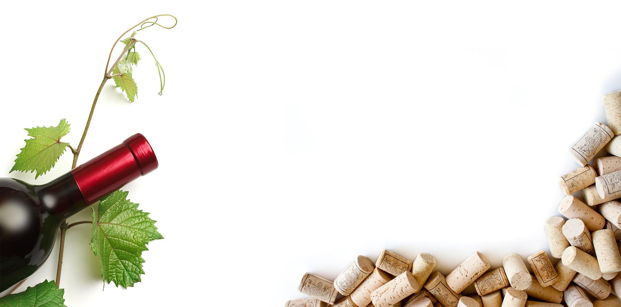 Home The Bottle Shop